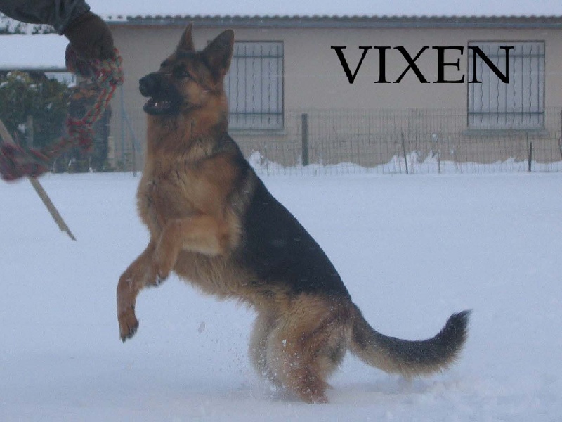 Vixen Des coléres de némésis
